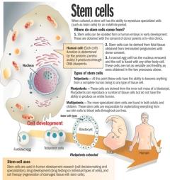 stem cell treatment